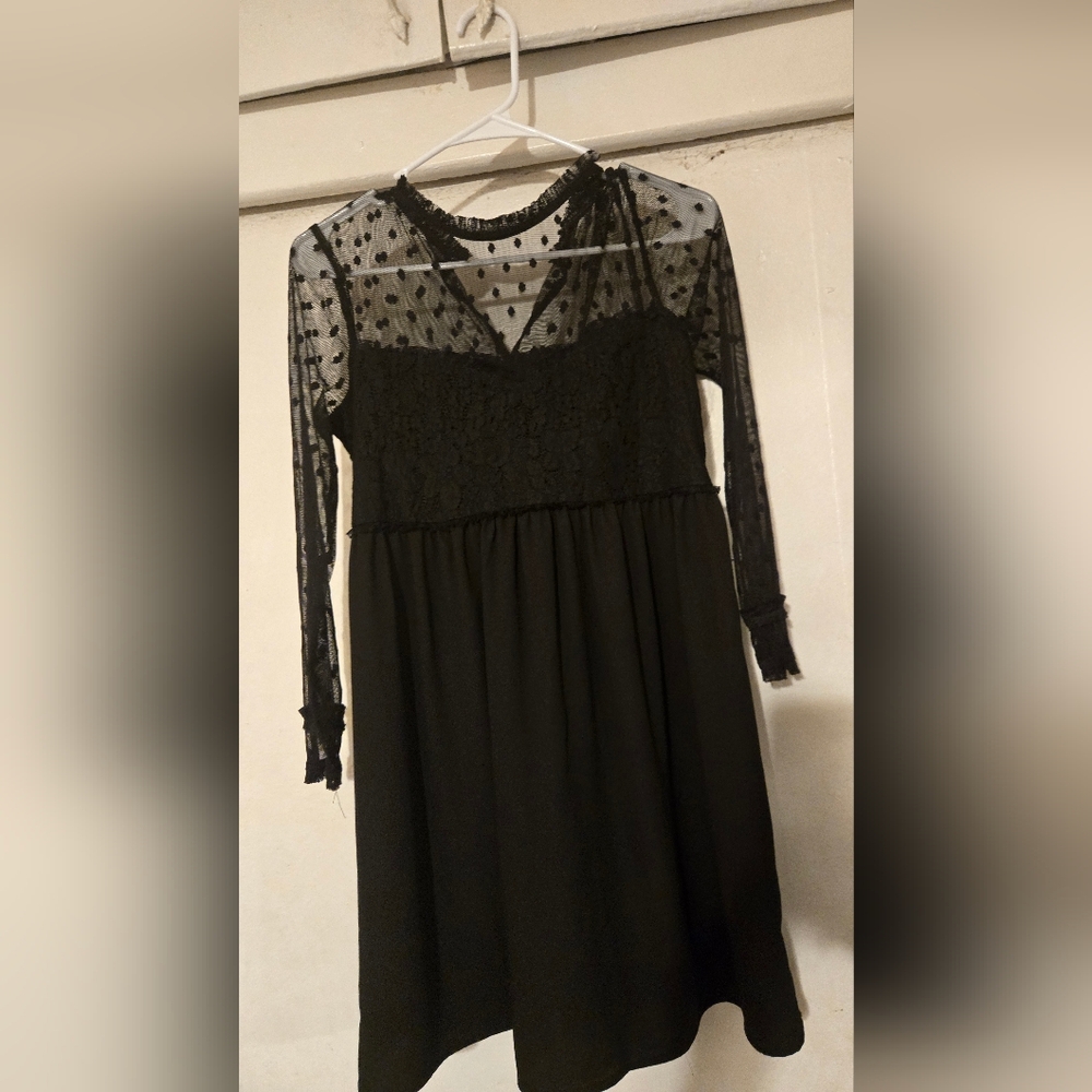 Zara Black Sheer Lace Long Sleeve Dress